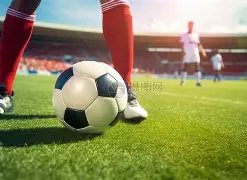 百万观众热,聚焦,届广东省女,乐鱼体育,LeYu,Sports,乐鱼体育官网,乐鱼体育官网,乐鱼体育下载,乐鱼体育APP