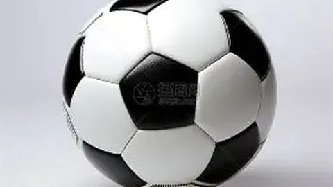 乐鱼体育 资讯 172435 c3g