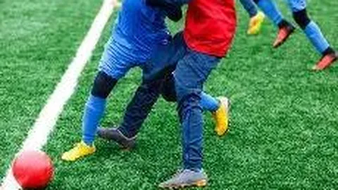 乐鱼体育 资讯 083236 jp9